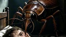 The Metamorphosis by Franz Kafka in 25 seconds