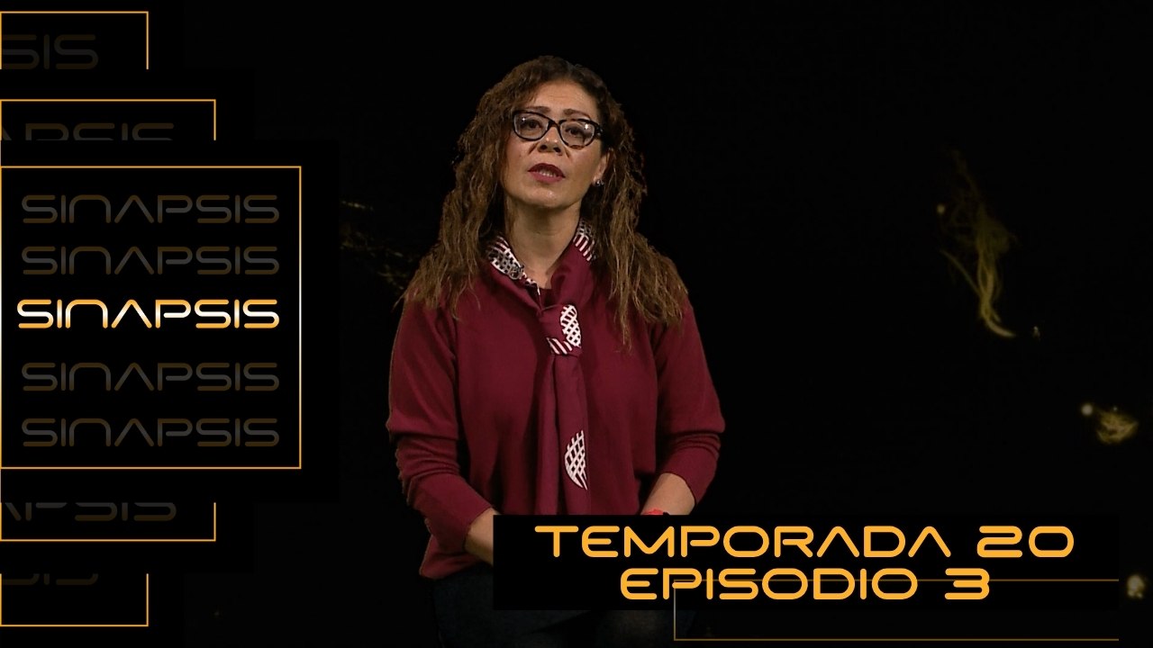 T20 Ep. 03 - Sinapsis | ¿Explotación reproductiva?
