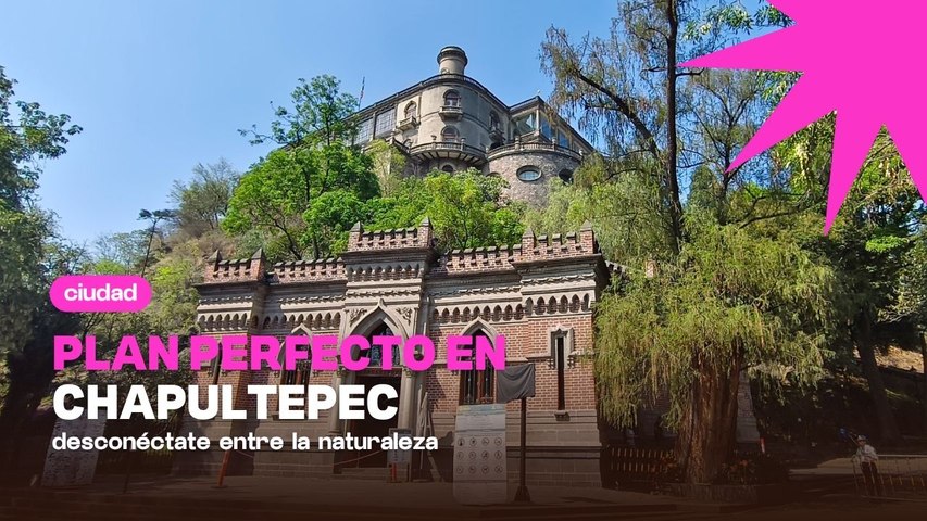 5 planes que puedes hacer en el Bosque de Chapultepec, Primera Sección 🌿📍