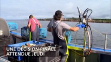 TVA Nouvelles CHAU 18h 28 avril 2026