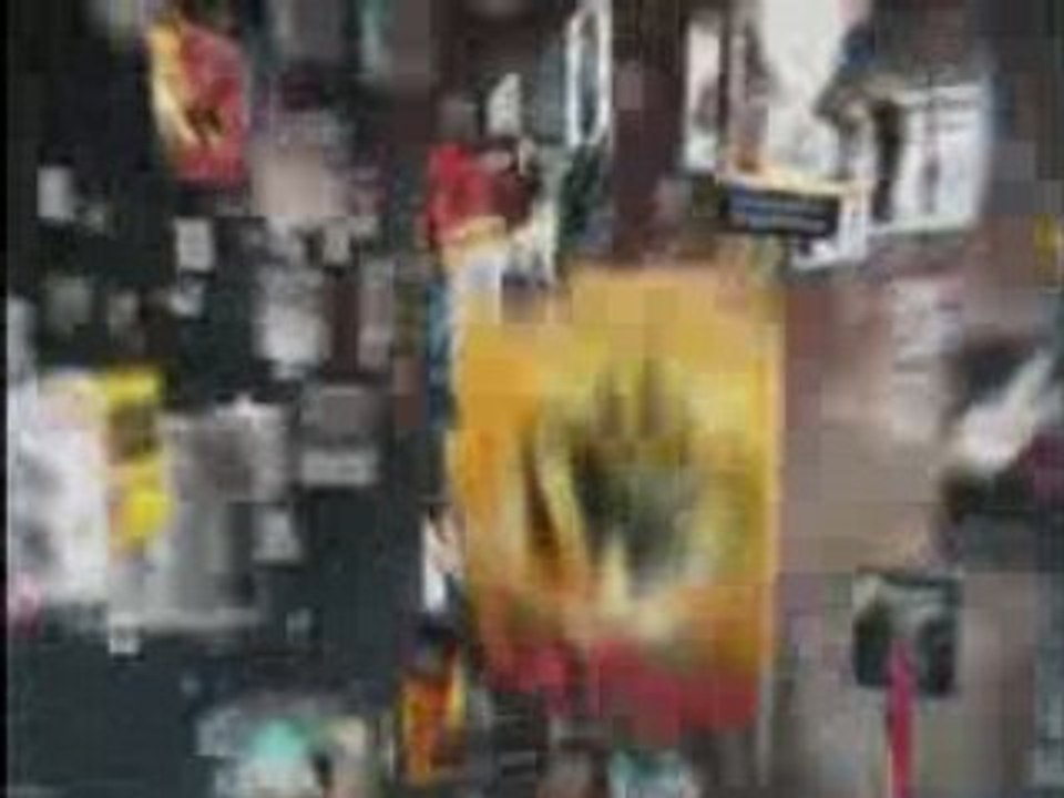 Spot 2008 dvd fly