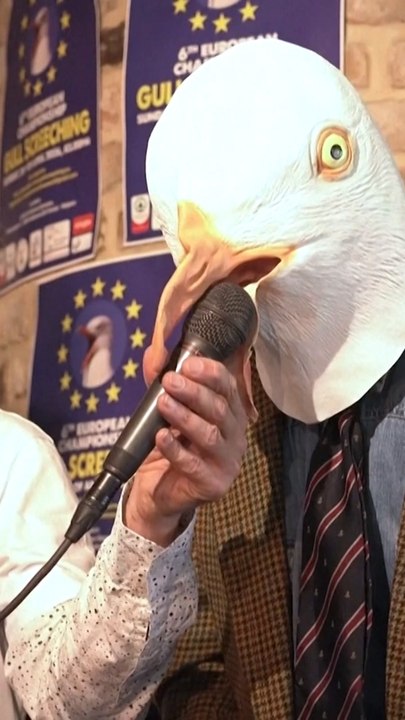 Seagull imitators compete for best screech