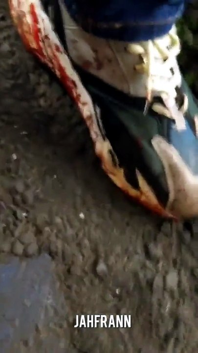 Harold Antonio Rodríguez Video