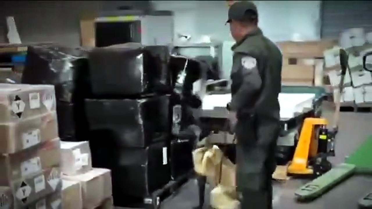 Perro antinarcóticos detectó más de 20 kg de marihuana en encomienda aérea en El Dorado