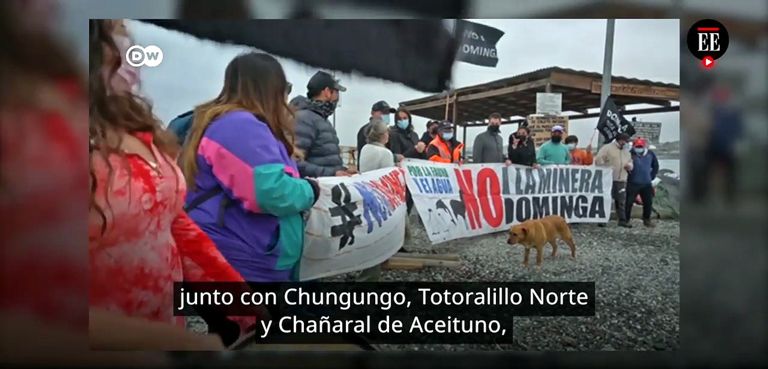 Proyecto minero amenaza delfines y pingüinos en...