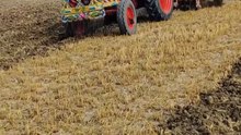 Belarus 510 Tractor Plowing Fields in Punjab, Pakistan: Readying the Land 🚜🌾"