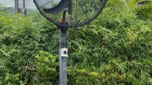 Mingletec brushless DC motor industrial wall fan #mingletec #brushlessmotor #DCmotor #industrialfan #wallfan #manufacturer #factory #supplier #fyp