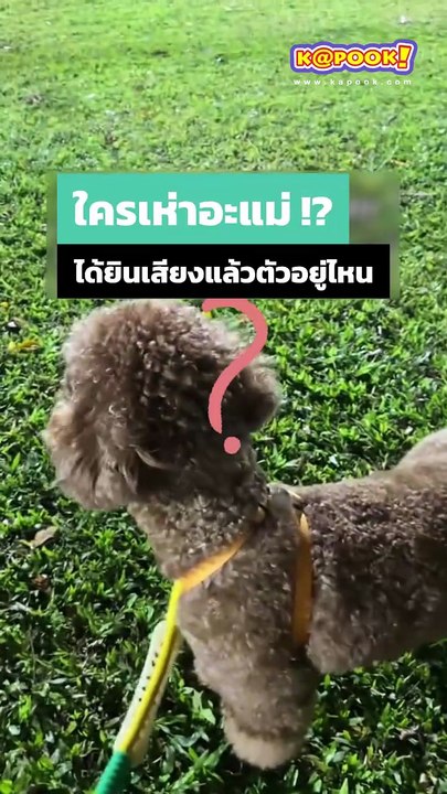 ใครเห่าอะแม่ ตูบมองหาใหญ่เลย ที่ไหนได้...