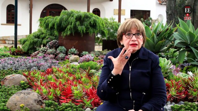 Nueva belleza: un reportaje sobre las agresiones con agentes químicos