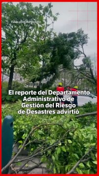Lluvias en Medellín causaron inundaciones y árboles caídos