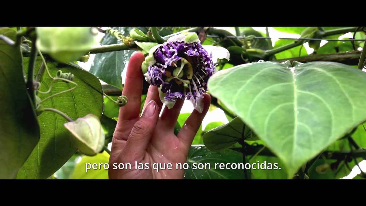 Cundinamarca