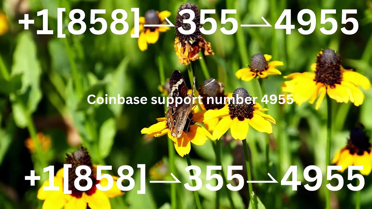 FUll-™} COmpLetE ^>【Coinbase -®】 TECH Support and Help DEsk COmpLetE Numbers - All Easy Methods
