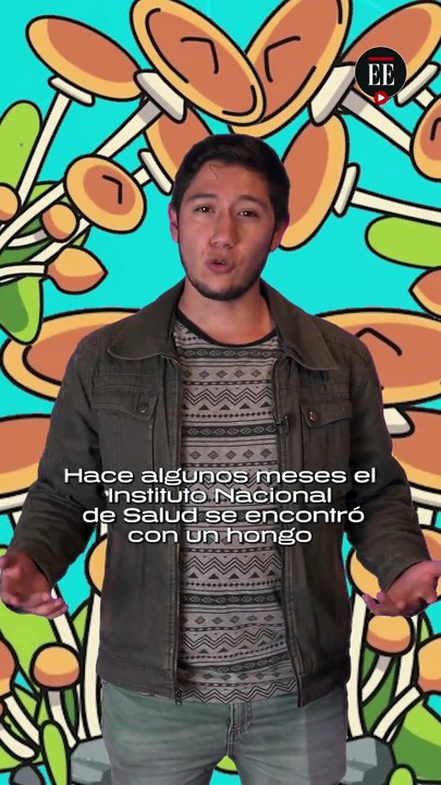 ‘Candida auris’: el hongo que inquieta al mundo fue encontrado cerca a Bogotá