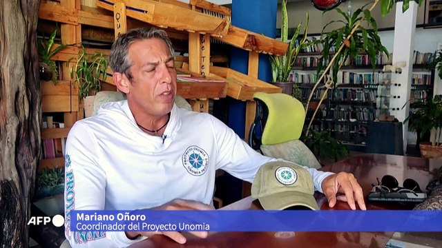 El coral que asfixia arrecifes en Venezuela y amenaza el Caribe