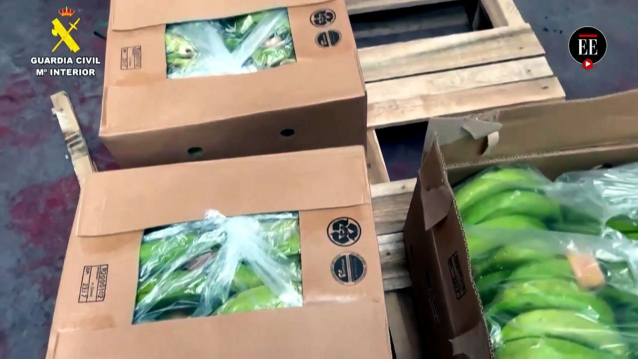 Cocaína oculta entre bananos: Colombia y España decomisaron 6,5 toneladas de droga