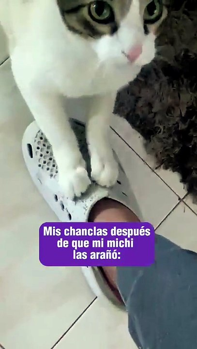 ¡Karen, compra nuevas chanclas!