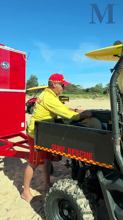 Seconds matter: how to give first aid after a shark attack