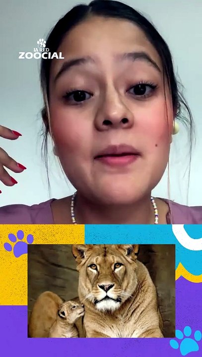 Animales y humanos tienen comportamientos sexua...