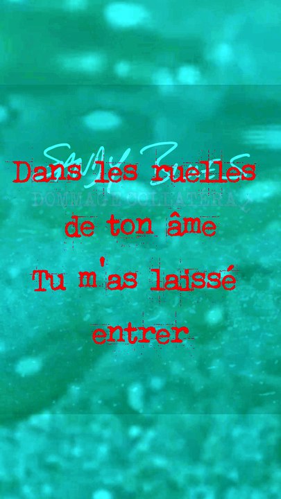 Tes Ruelles // Couplet