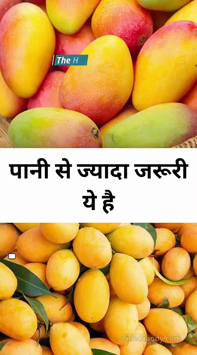 पानी से ज्यादा जरूरी ये है