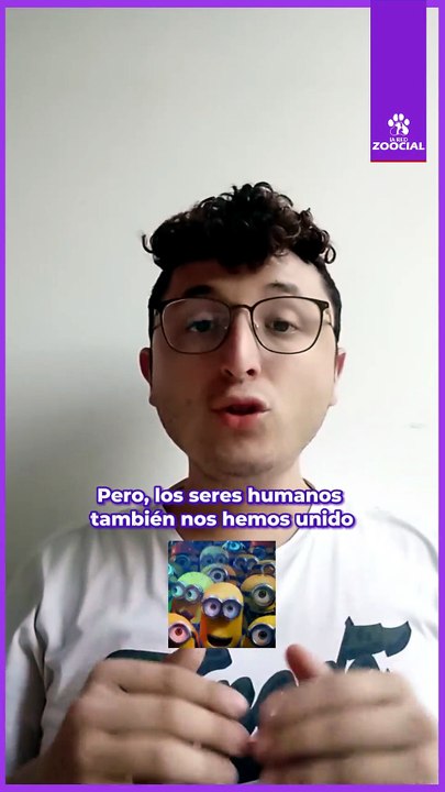Animales salvados de la extinción