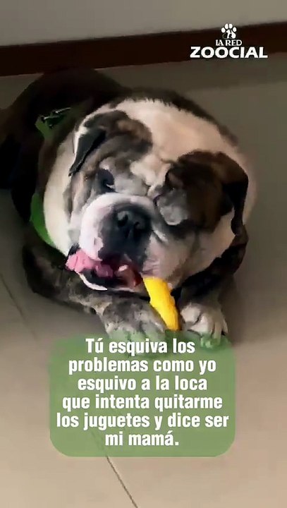 Sin perdón ni olvido