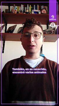 ¿Por qué el Centro de Bienestar Animal de Cali se encuentra en tan malas condiciones?
