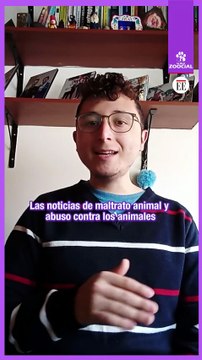 Cinco noticias positivas para los animales en 2023