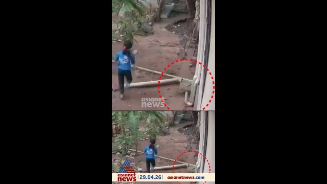 കളിക്കുന്നതിനിടെ കുട്ടിക്ക് അരികിലേക്ക് ഇഴഞ്ഞെത്തി പാമ്പ് ; രക്ഷപ്പെട്ടത് തലനാരിഴയ്ക്ക്