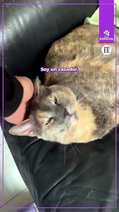 Soy una cazadora
