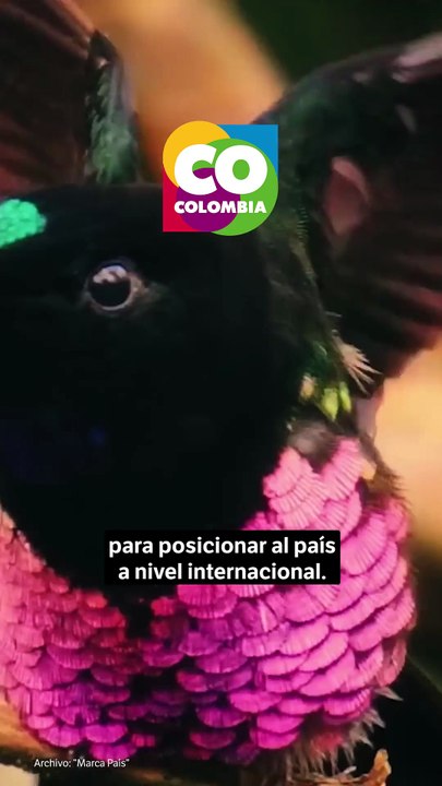 Discos Fuentes como "Marca País Colombia": ¿Qué significa?