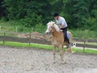 Horse Ball au Buis Sud 8 Juin 2008