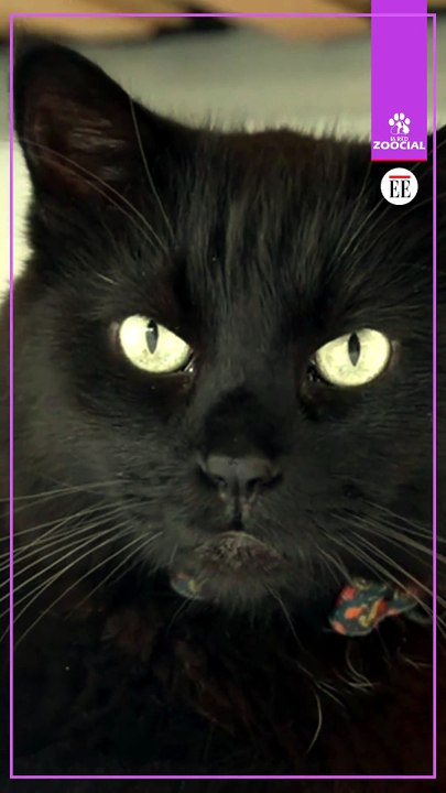 ¡Te amo mi negro lindo!