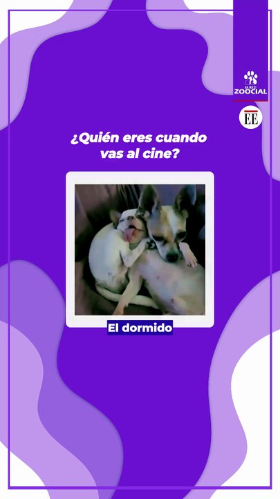 ¿Quién eres cuando vas al cine?