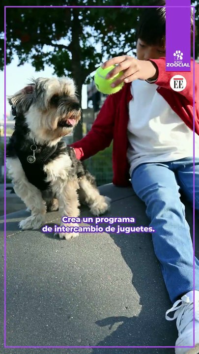 Consejo: crea un programa de intercambio de juguetes