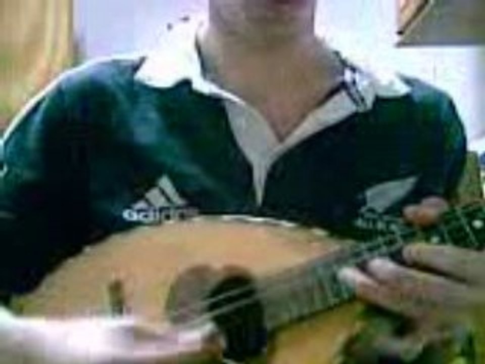 Malek mandolin