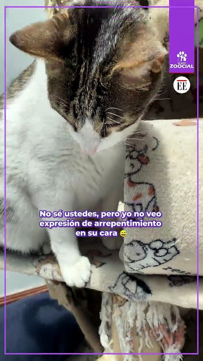 Yo no lo veo arrepentido