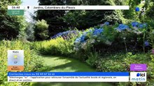 29/04/2026 - ici matin par ici Mayenne en vidéo