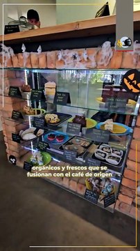 Haba Tonka, sabores artesanales y frescos para disfrutar en familia