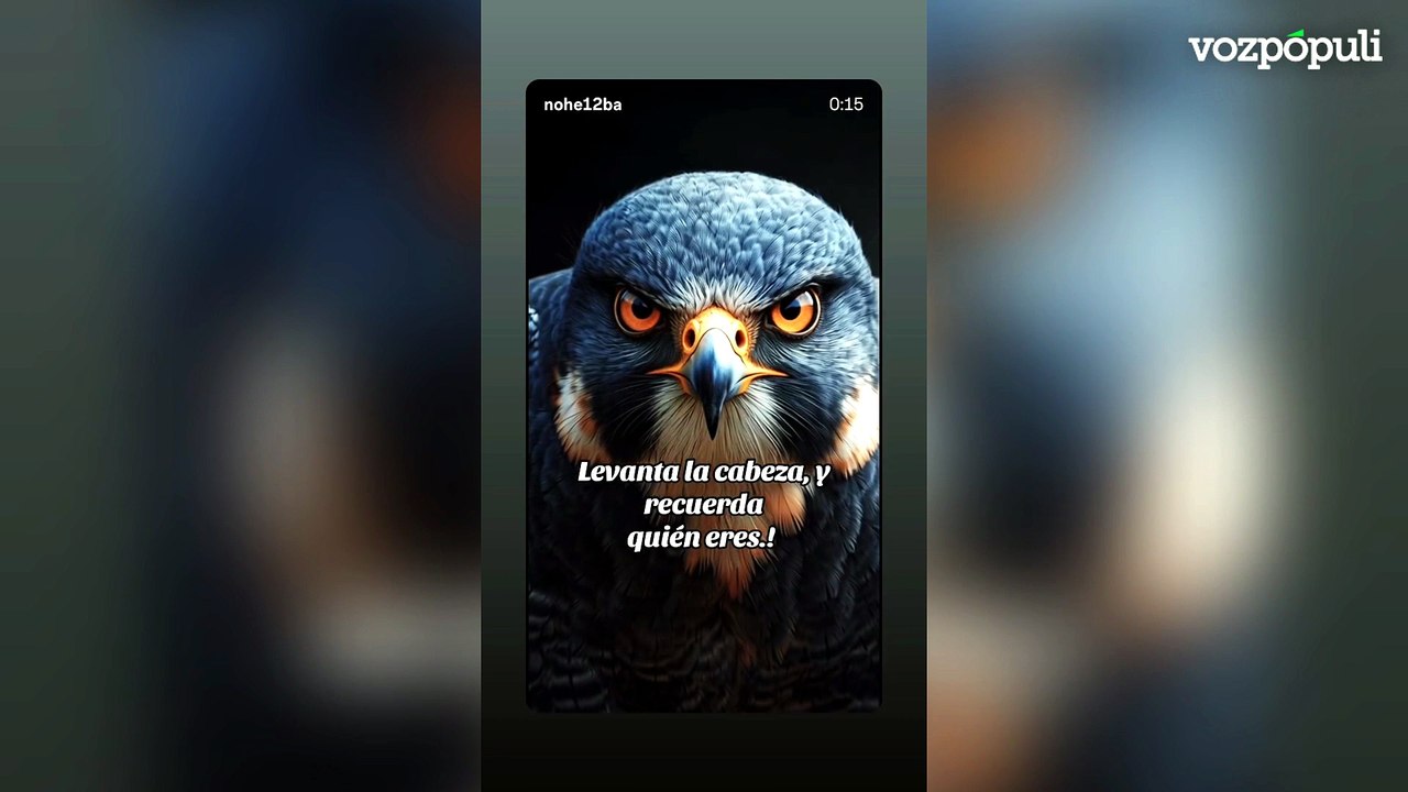 Las stories de ALDAMA antes de declarar