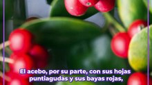 Si tiene animales en casa, estas plantas no son para usted
