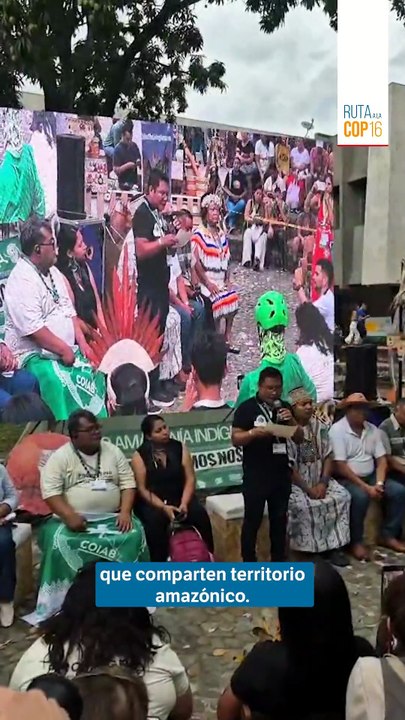Así se vivió el fin de semana en la COP16