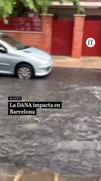 Dana Impacta Barcelona