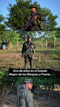 La historia de la disidencia al mando de Calarcá que negocia la paz con Petro
