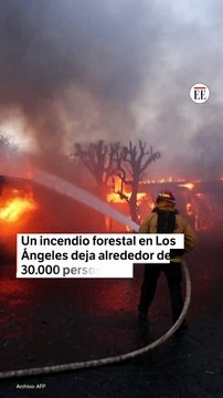 Incendio forestal obligó a evacuar más de 30.000 personas en Los Ángeles