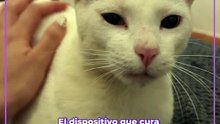 Dispositivo Cura Estrés