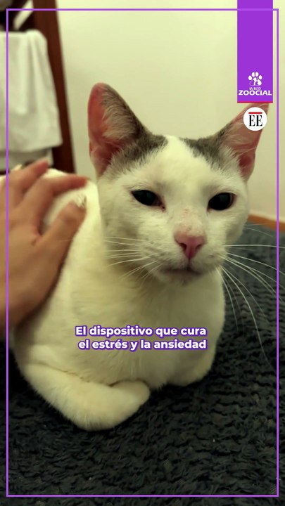 Dispositivo Cura Estrés