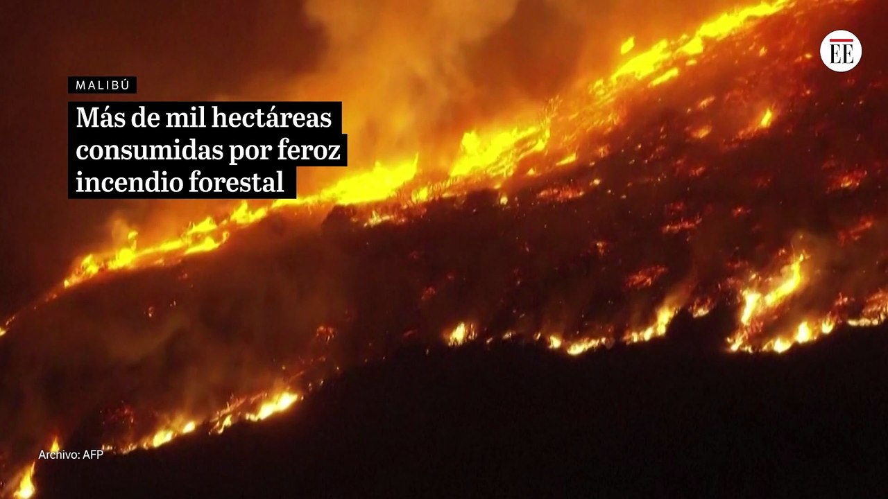 Más de mil hectáreas consumidas por feroz incendio forestal en Malibú