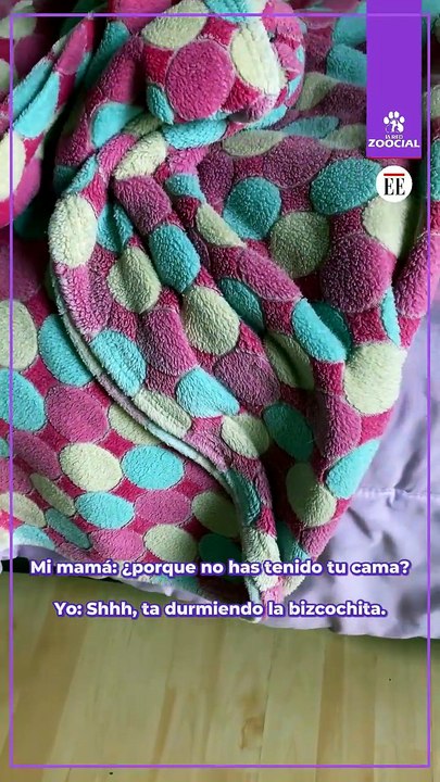 Nadie la despierte