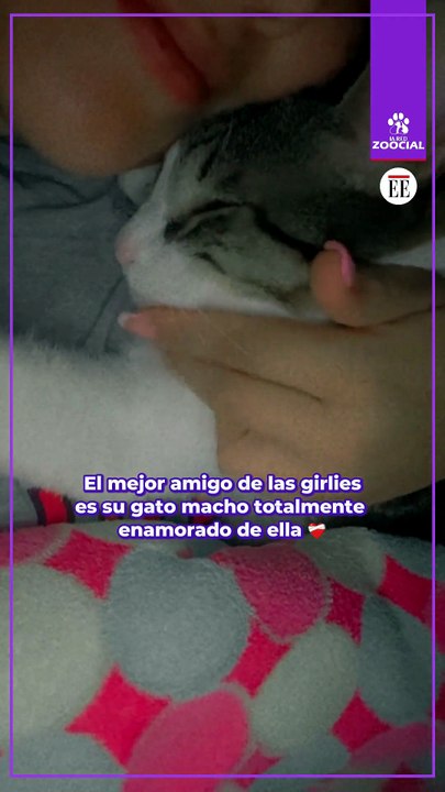 Es todo lo que necesitamos